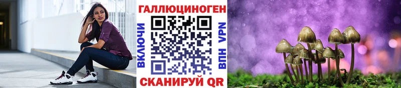 Псилоцибиновые грибы MAGIC MUSHROOMS  цены наркотик  Тула 